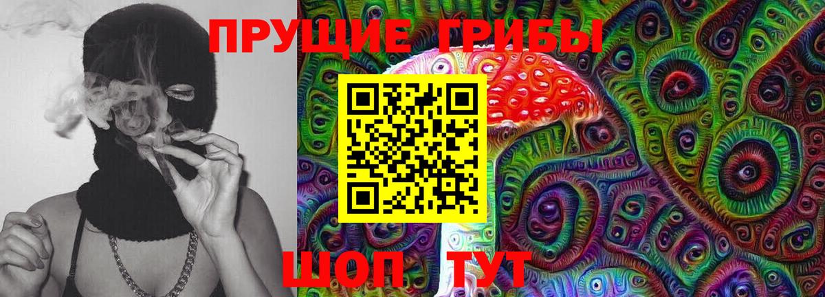 Зеленогорск  Псилоцибиновые грибы GOLDEN TEACHER  Вход с VPN 